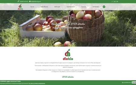 Website for a Bio-Apple manufacturer (screen)